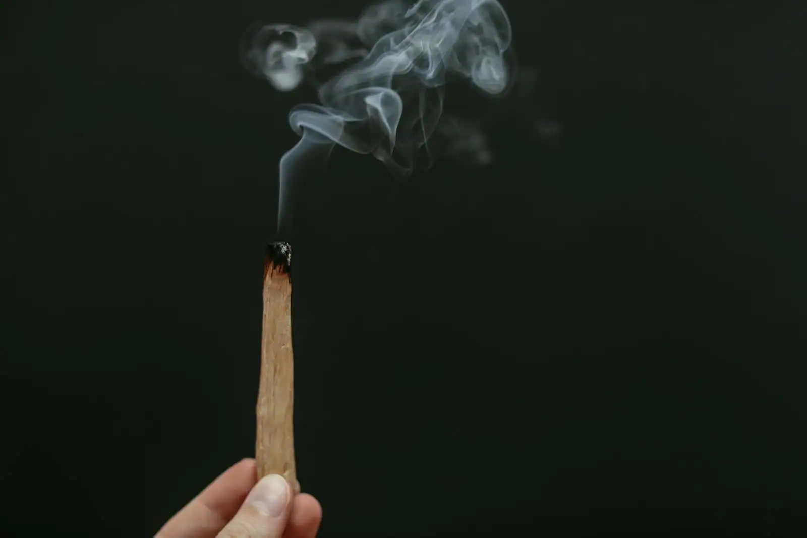 Illustration : Palo santo : usages, vertus prêtées et achat responsable