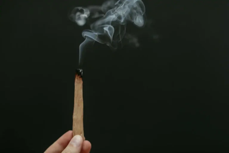 Palo santo : usages, vertus prêtées et achat responsable