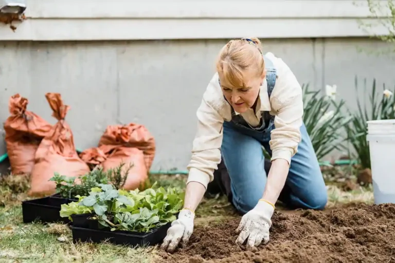 Loisirs au jardin : habiter son extérieur et y prendre le temps