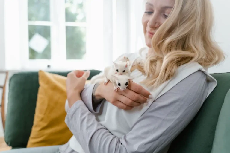 Animaux de compagnie insolites : lesquels choisir ?
