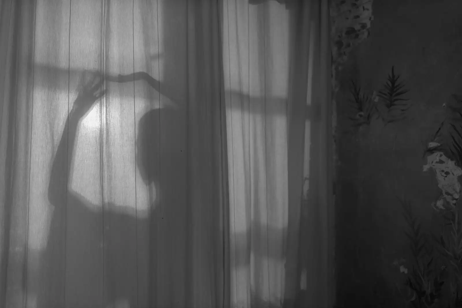 Silhouette d'une personne à contre-jour derrière un rideau clair, près d'une fenêtre.