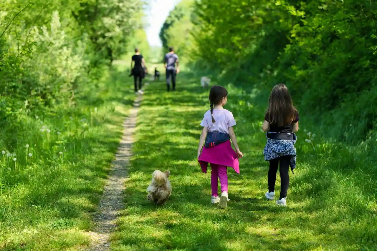 Une famille avec deux enfants marche sur un chemin verdoyant bordé d'arbres, lors d'une sortie du week-end.